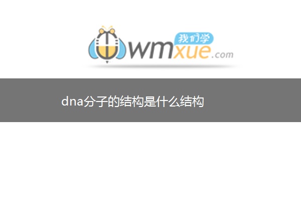 dna分子的结构是什么结构