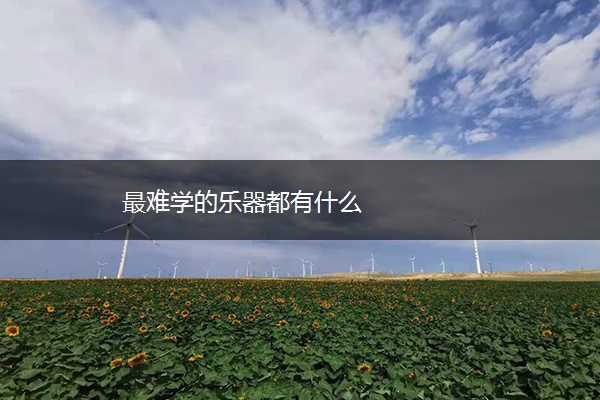 最难学的乐器都有什么
