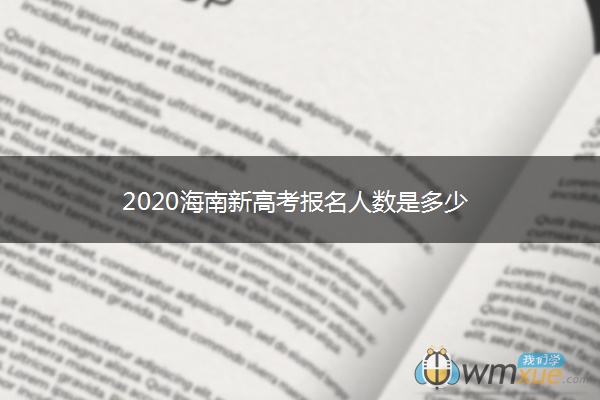 2020海南新高考报名人数是多少