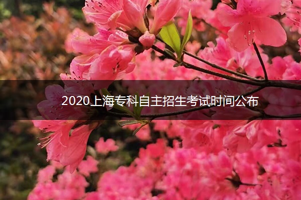 2020上海专科自主招生考试时间公布