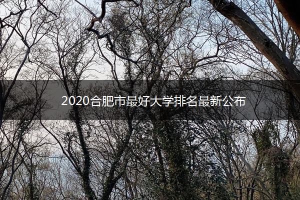 2020合肥市最好大学排名最新公布