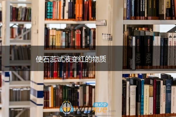 使石蕊试液变红的物质