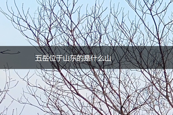 五岳位于山东的是什么山