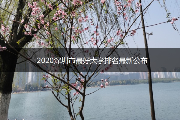 2020深圳市最好大学排名最新公布