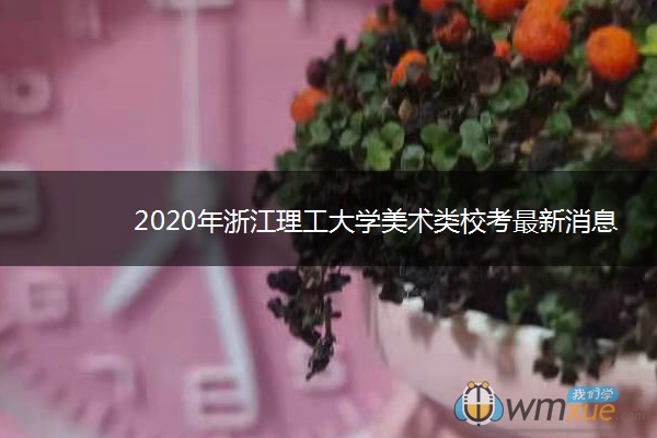 2020年浙江理工大学美术类校考最新消息