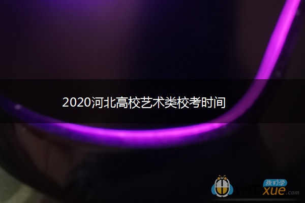 2020河北高校艺术类校考时间