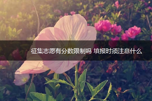 征集志愿有分数限制吗 填报时须注意什么