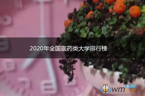 2020年全国医药类大学排行榜