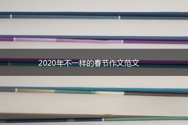 2020年不一样的春节作文范文