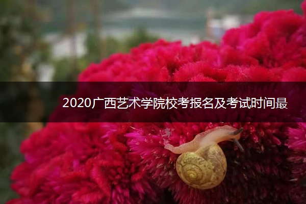 2020广西艺术学院校考报名及考试时间最新