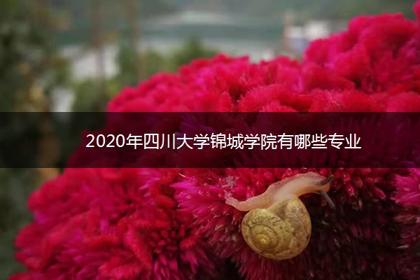 2020年四川大学锦城学院有哪些专业