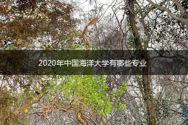 2020年中国海洋大学有哪些专业