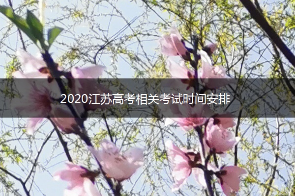 2020江苏高考相关考试时间安排