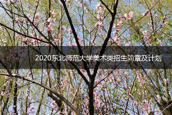 2020东北师范大学美术类招生简章及计划