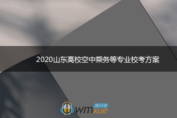 2020山东高校空中乘务等专业校考方案