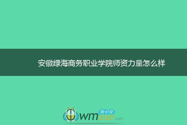 安徽绿海商务职业学院师资力量怎么样 ​