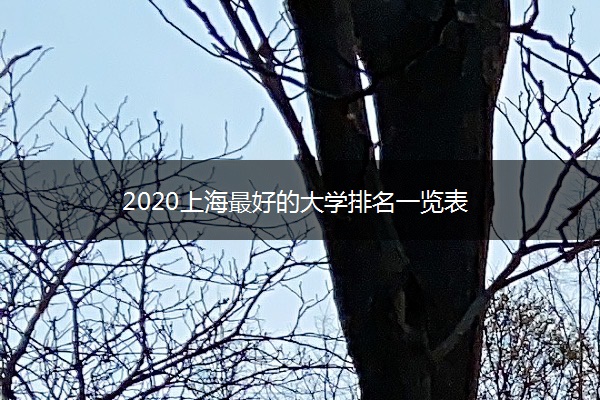 2020上海最好的大学排名一览表