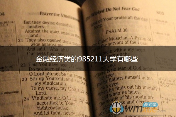 金融经济类的985211大学有哪些