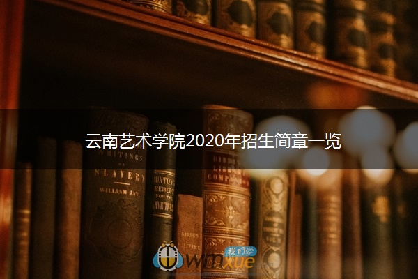云南艺术学院2020年招生简章一览