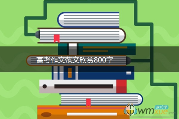 高考作文范文欣赏800字