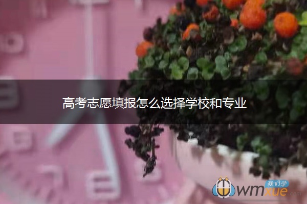 高考志愿填报怎么选择学校和专业