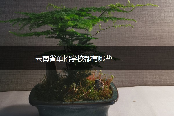 云南省单招学校都有哪些