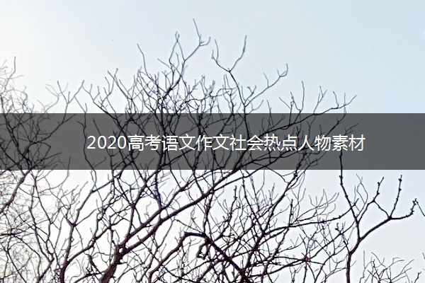 2020高考语文作文社会热点人物素材