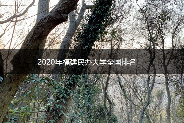 2020年福建民办大学全国排名