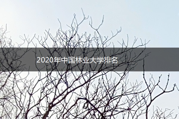 2020年中国林业大学排名