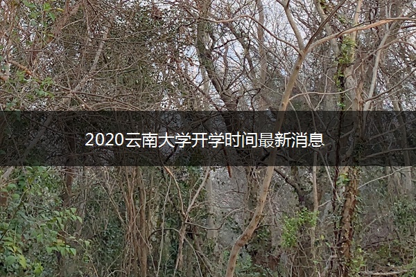 2020云南大学开学时间最新消息