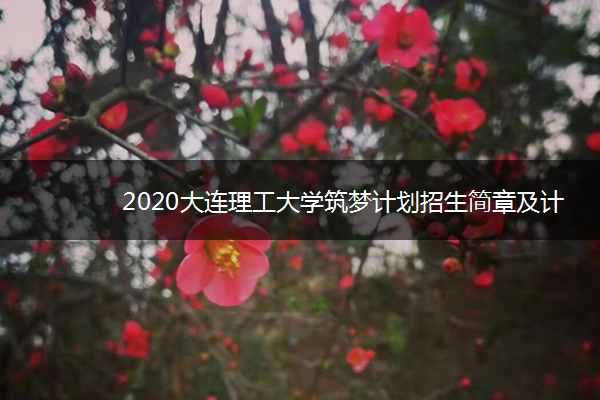 2020大连理工大学筑梦计划招生简章及计划