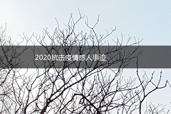 2020抗击疫情感人事迹