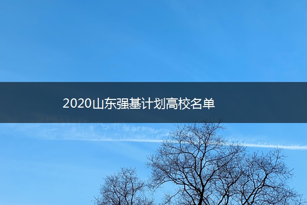 2020山东强基计划高校名单