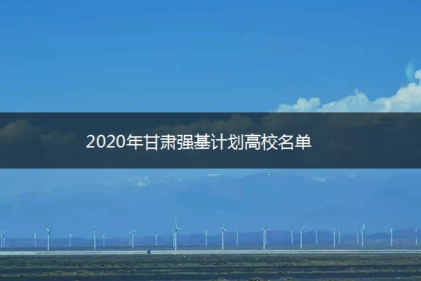 2020年甘肃强基计划高校名单