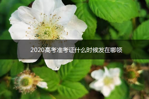 2020高考准考证什么时候发在哪领