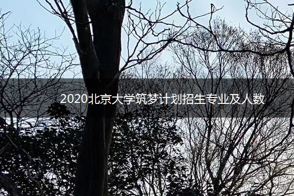 2020北京大学筑梦计划招生专业及人数