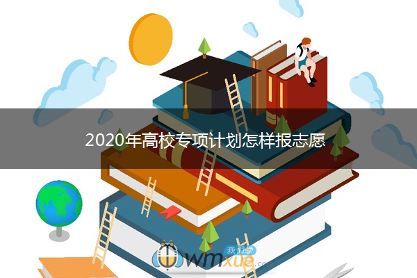 2020年高校专项计划怎样报志愿