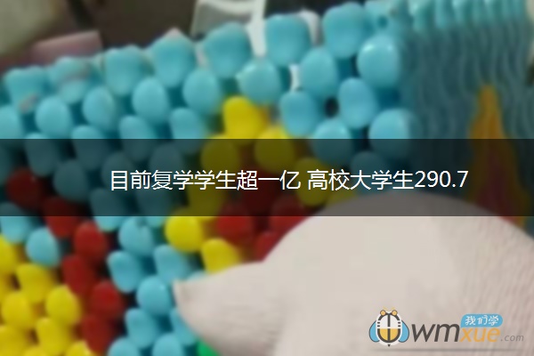 目前复学学生超一亿 高校大学生290.7万