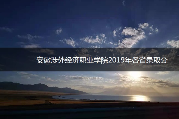 安徽涉外经济职业学院2019年各省录取分数线详情