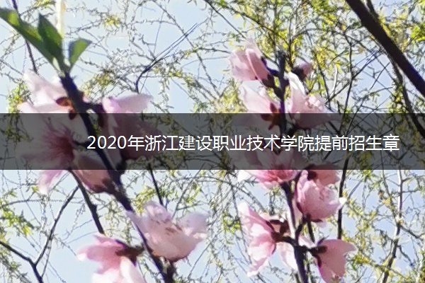 2020年浙江建设职业技术学院提前招生章程