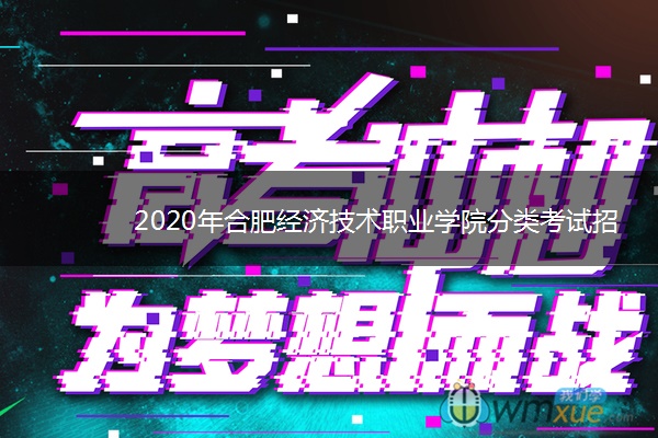 2020年合肥经济技术职业学院分类考试招生计划及专业