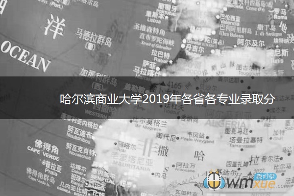 哈尔滨商业大学2019年各省各专业录取分数线