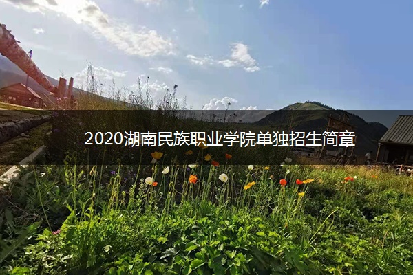 2020湖南民族职业学院单独招生简章