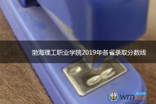 渤海理工职业学院2019年各省录取分数线详情