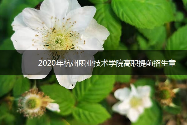 2020年杭州职业技术学院高职提前招生章程