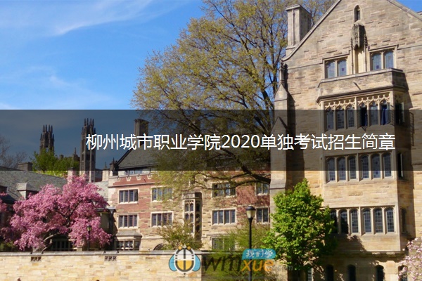 柳州城市职业学院2020单独考试招生简章