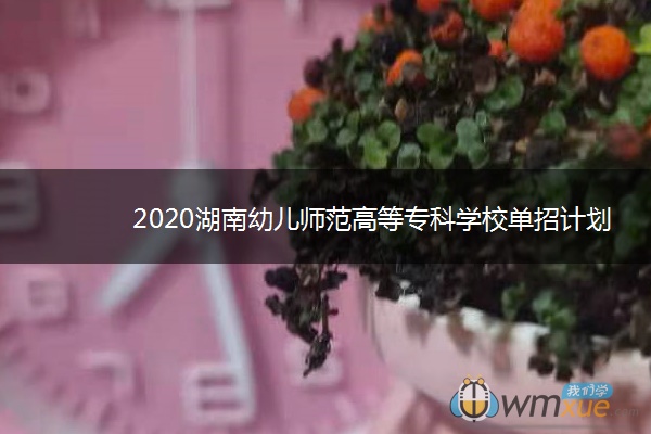 2020湖南幼儿师范高等专科学校单招计划及专业