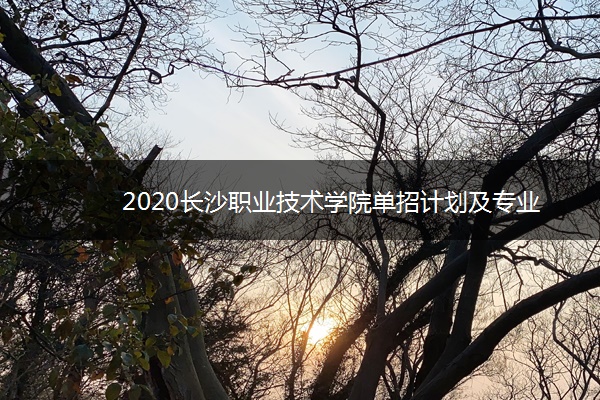 2020长沙职业技术学院单招计划及专业