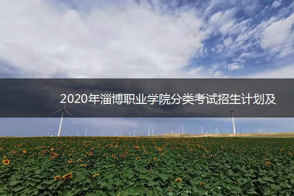 2020年淄博职业学院分类考试招生计划及专业