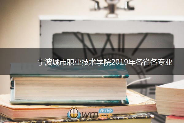 宁波城市职业技术学院2019年各省各专业录取分数线